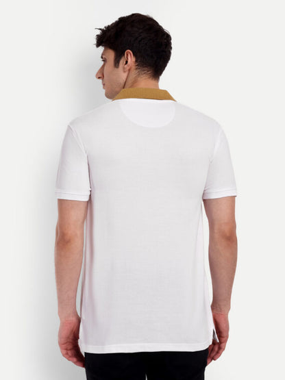 Buy polo t-shirt at best price
